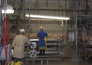 Tyson Foods